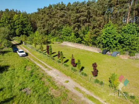 Pluski ,  Lawendowa   6