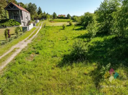 Pluski ,  Lawendowa   7