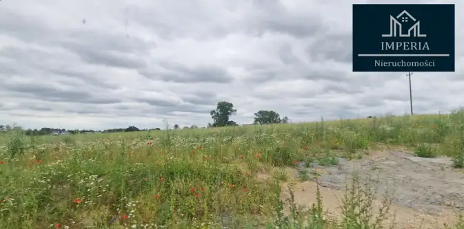 Bojano ,  Czynu Tysiąclecia   7