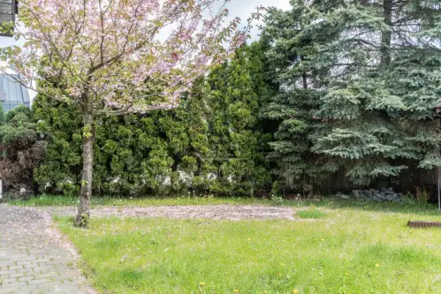 Rokietnica ,  Świt   7