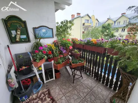 Chełm ,  Pocztowa   13