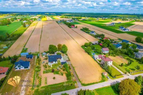 Zemborzyce podleśne   6