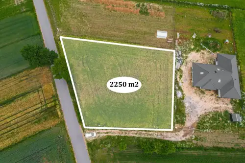 Niedrzwica duża   2