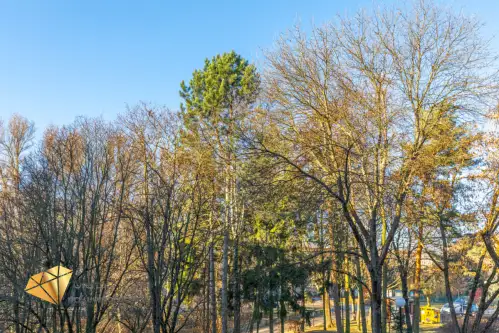 Lublin ,  Franciszka Kleeberga   5