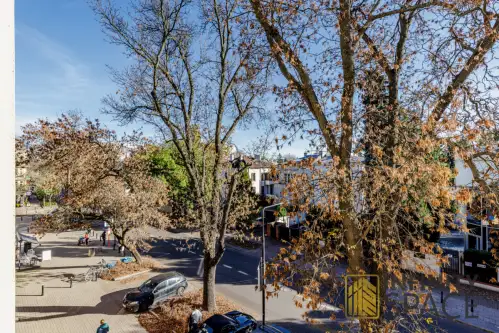 Warszawa ,  Zwycięzców   13