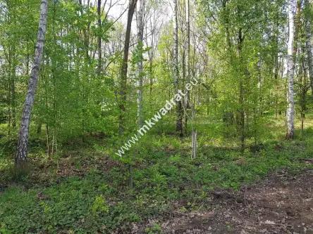  Stare budy radziejowskie   www.mkwadrat.eu 