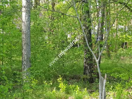 Stare budy radziejowskie ,  www.mkwadrat.eu   2