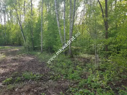 Stare budy radziejowskie   2