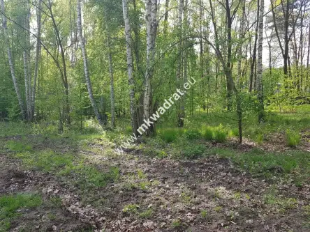 Stare budy radziejowskie   3