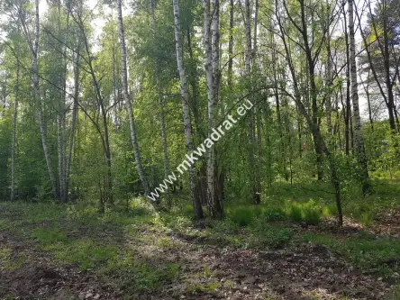 Stare budy radziejowskie   4