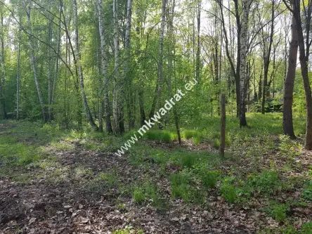 Stare budy radziejowskie   5