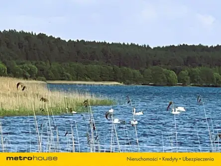 Swornegacie ,  Wączos   10