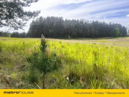 Swornegacie ,  Wączos   19