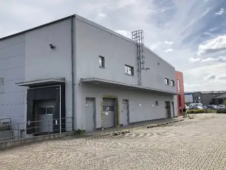 Szczecin ,  Zimowa   3