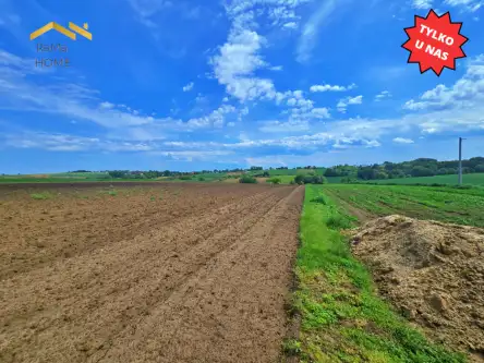 Biórków wielki   3