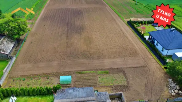 Biórków wielki   4