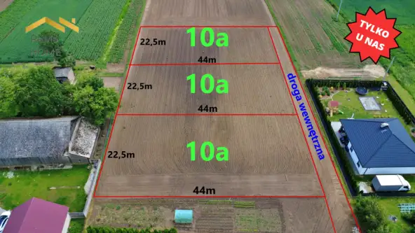 Biórków wielki   5