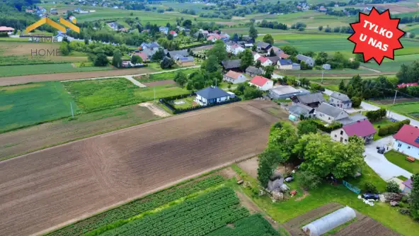 Biórków wielki   7