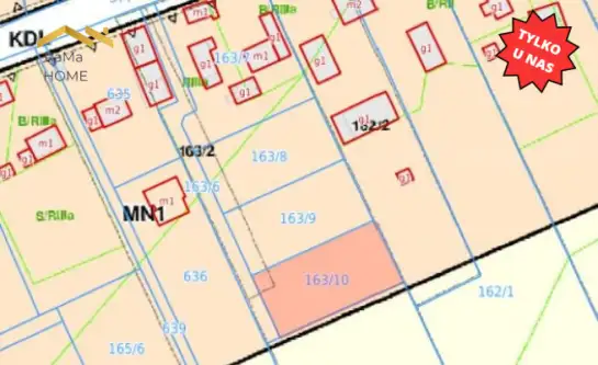 Biórków wielki   8