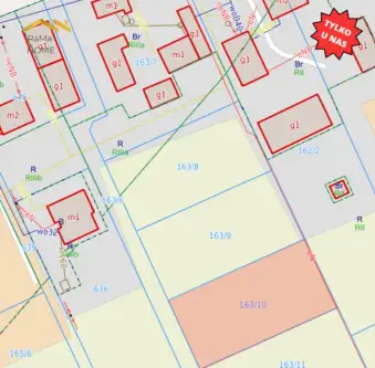 Biórków wielki   9