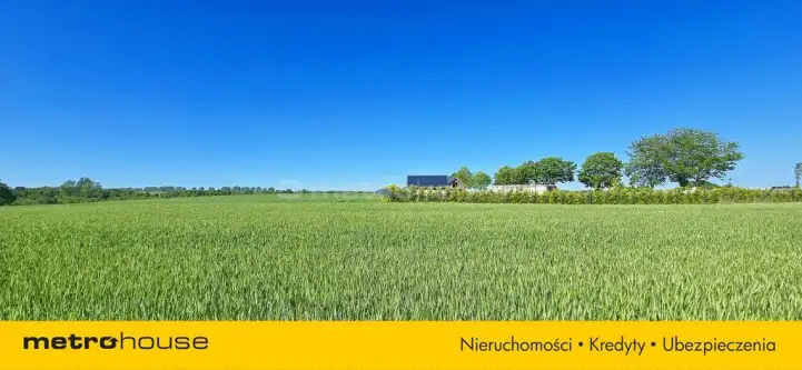 Karlikowo ,  Polna   2