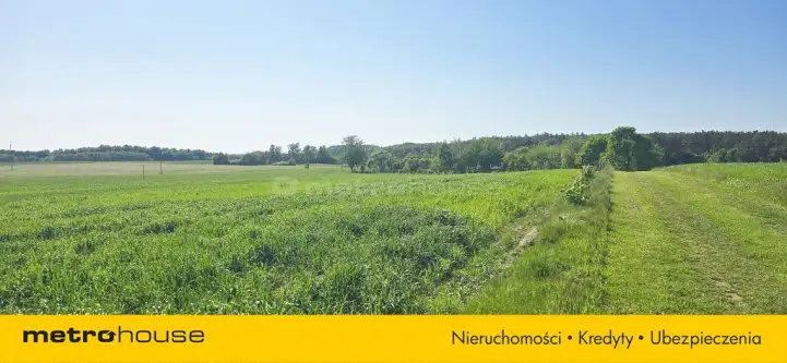 Karlikowo ,  Polna   3