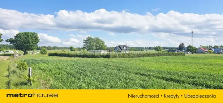 Karlikowo ,  Polna   5