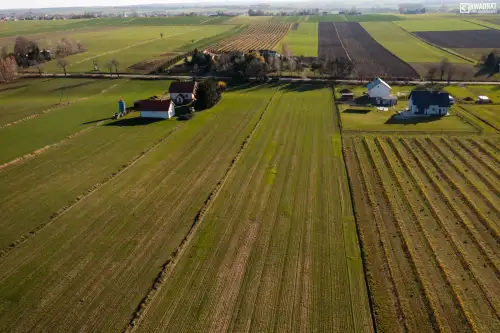 Skrzynice drugie   2