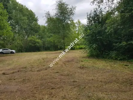  żółwin   www.mkwadrat.eu 