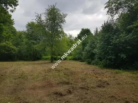 żółwin ,  www.mkwadrat.eu   9