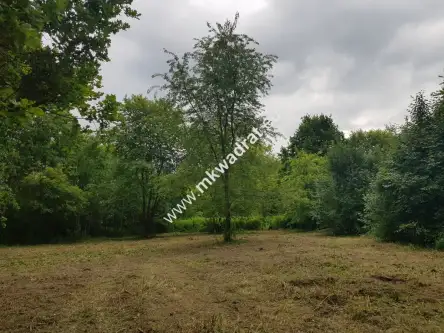 żółwin ,  www.mkwadrat.eu   3