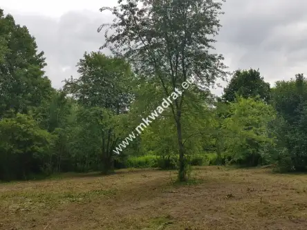 żółwin ,  www.mkwadrat.eu   5