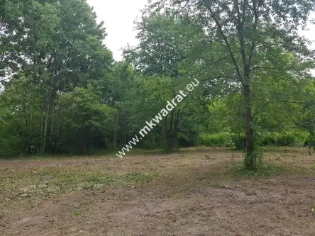 żółwin ,  www.mkwadrat.eu   4