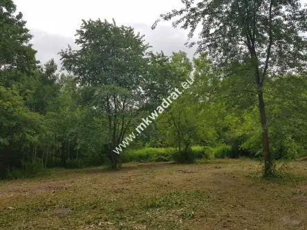 żółwin ,  www.mkwadrat.eu   7