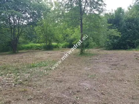 żółwin ,  www.mkwadrat.eu   6