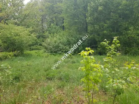 żółwin ,  www.mkwadrat.eu   10