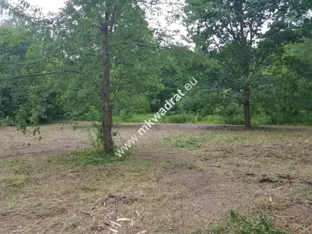 żółwin ,  www.mkwadrat.eu   2