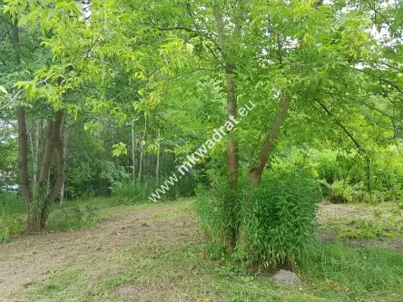 żółwin ,  www.mkwadrat.eu   8