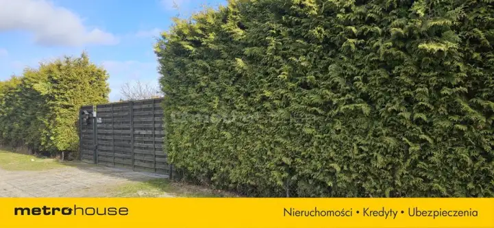 Reda ,  Drużynowa   7