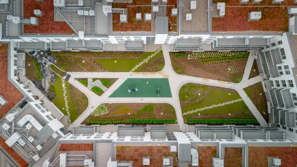 Szczecin ,  Celna   6