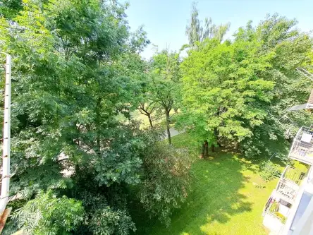 Tarnobrzeg ,  Matejki   9