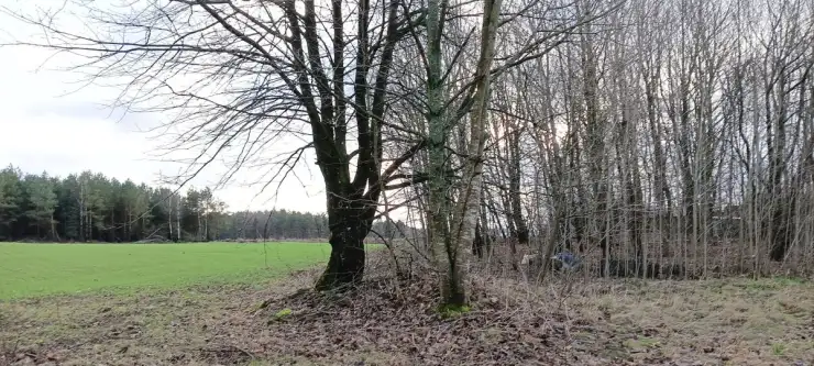 Donimierz ,  Piekiełko   12