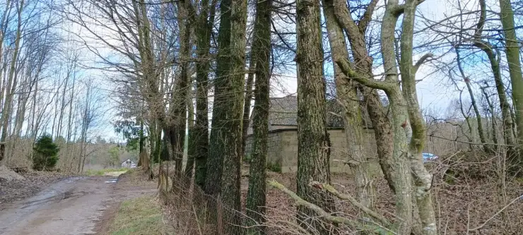 Donimierz ,  Piekiełko   13