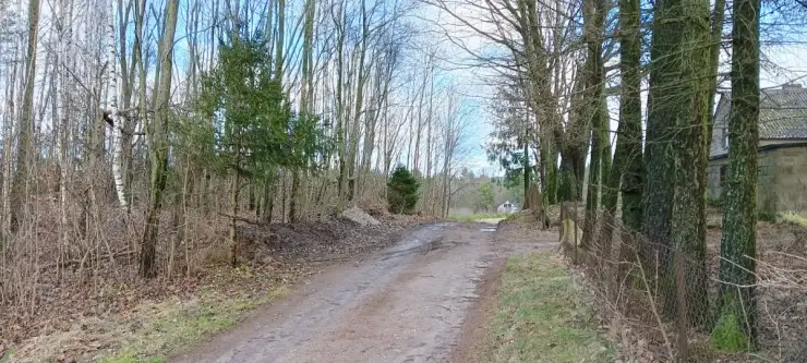 Donimierz ,  Piekiełko   3