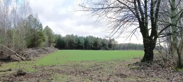 Donimierz ,  Piekiełko   8