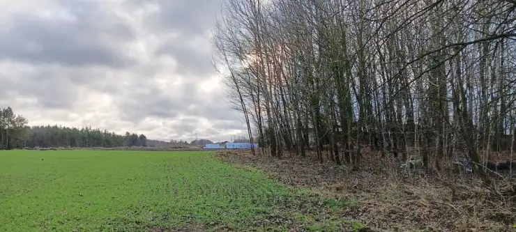 Donimierz ,  Piekiełko   9