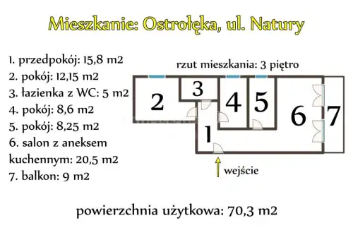 Ostrołęka ,  Natury   4