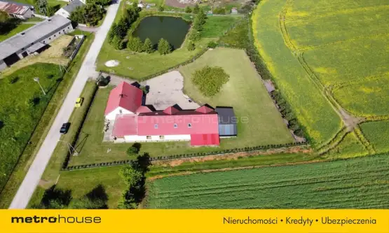 Dąbrówka ,  Przymuszewska   11