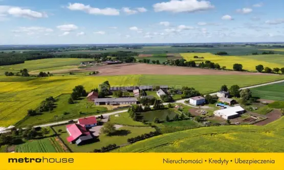 Dąbrówka ,  Przymuszewska   15