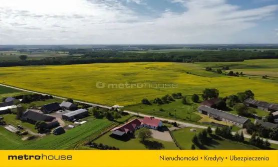 Dąbrówka ,  Przymuszewska   17